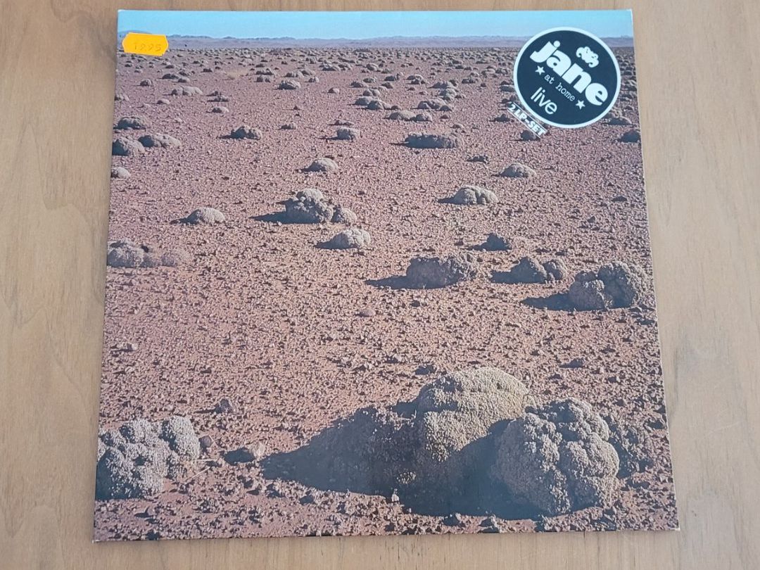 Dischi in vinile: DLP Jane – Usato da Martigny venduto da MZ-67