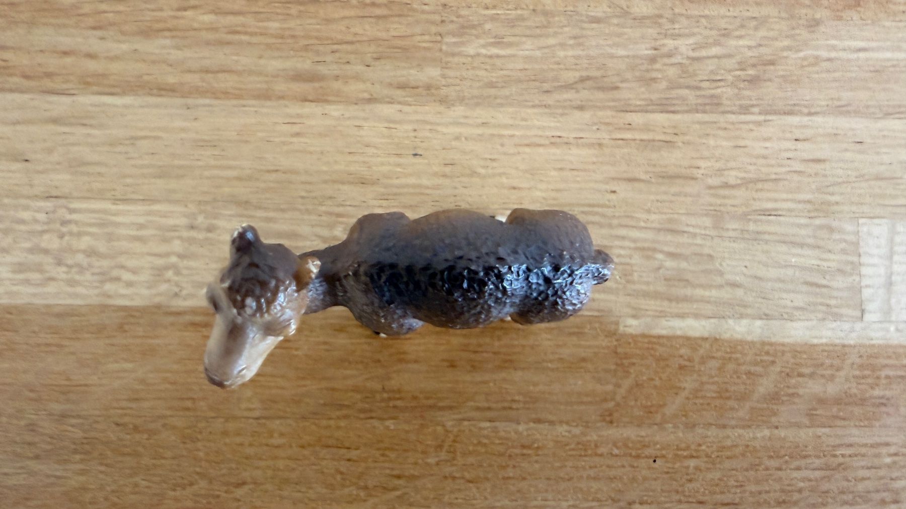 Schleich Spielzeuge: SCHLEICH -  Dromedar Fohlen 14356 – Gebraucht aus Winterthur von Secondhand-Family 4