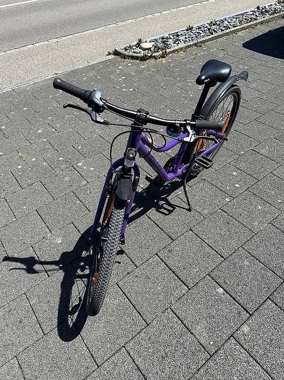 Velos: Kindervelo NALOO 24 Zoll - Chameleon – Gebraucht aus Brügglen von Mim1 2