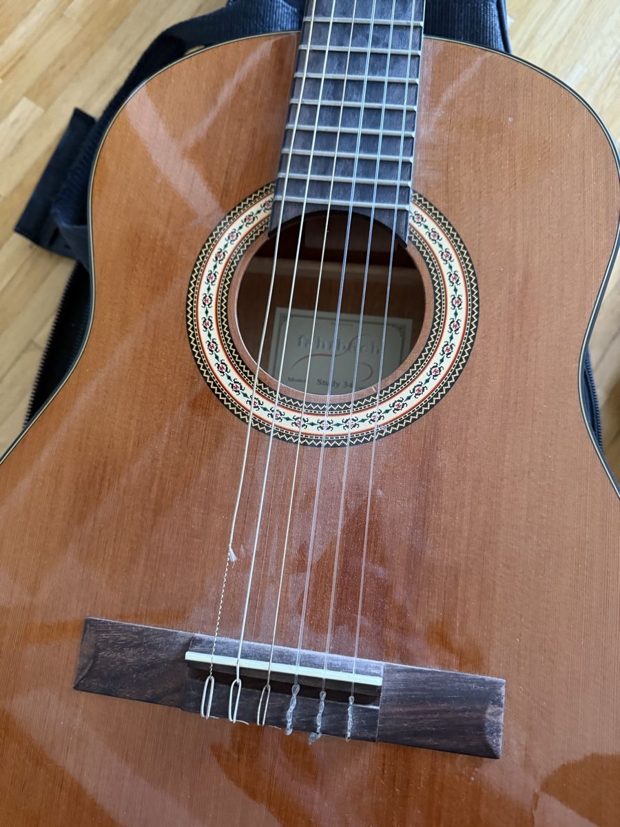 Strumenti musicali: Fahrbach 3/4 Gitarre mit Tasche – Usato da Zürich venduto da pluto124 3