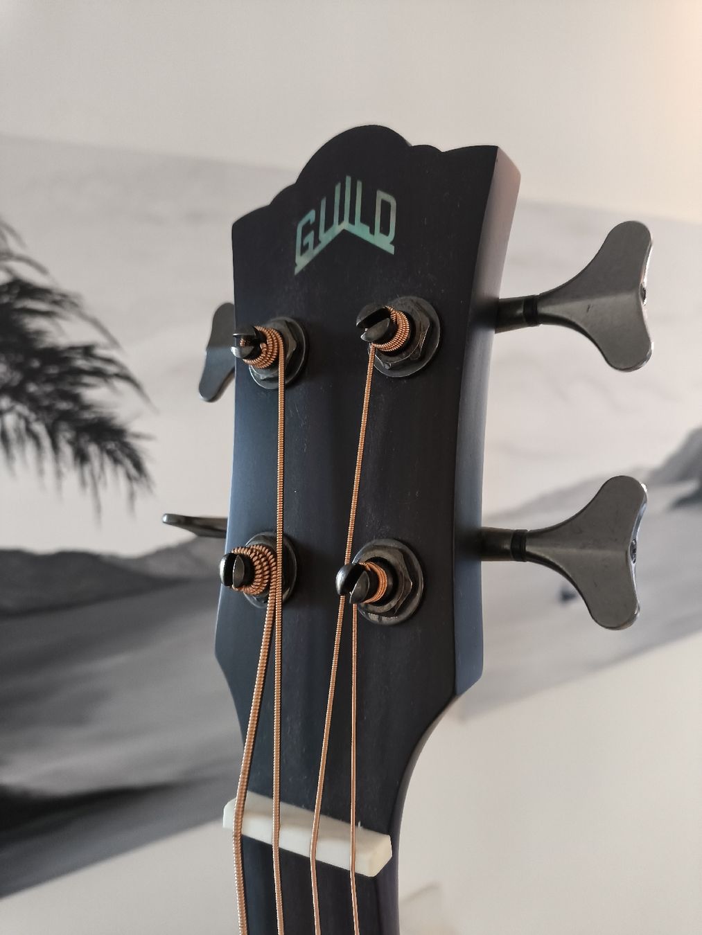 Guild Strumenti musicali: Basso acustico Guild - jumbo junior bass – Usato da Minusio venduto da Dr222 4