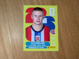 🔥Panini Erling Haaland NOR15