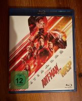 Ant-Man and the Wasp (Blu-Ray) - MCU mit Paul Rudd
