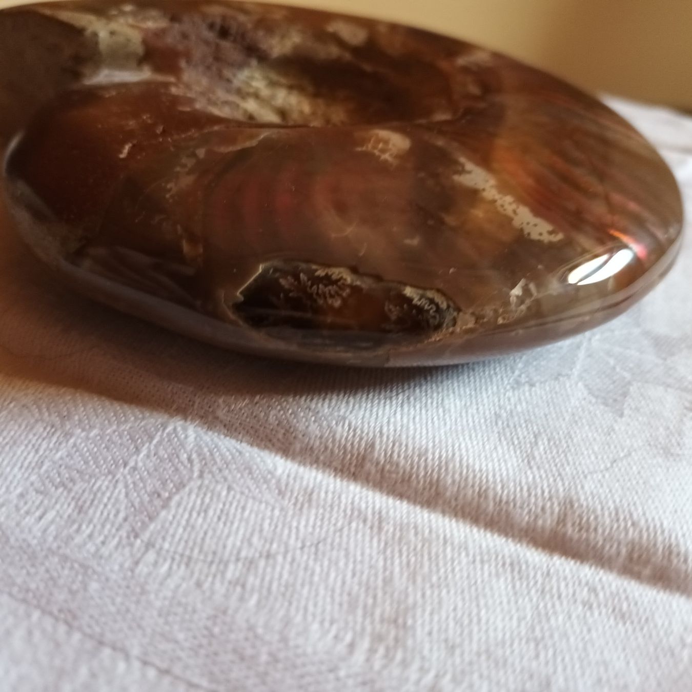 Fossili: Ammonit Fossil – Usato da Bäretswil venduto da ricoric 7