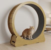 Katzen Laufrad 