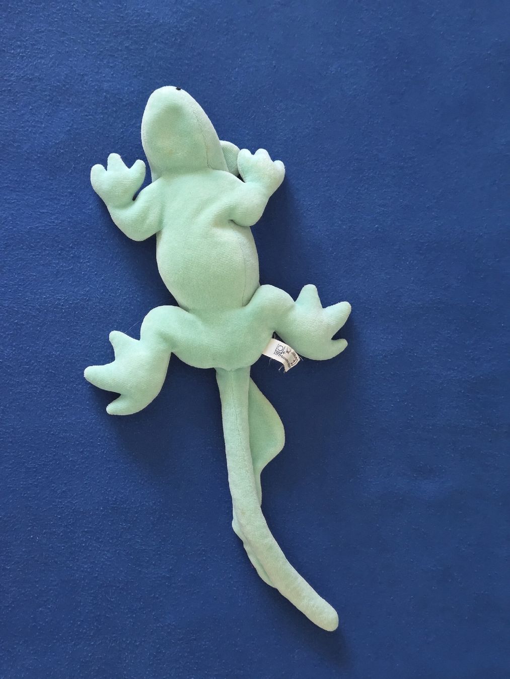 Giocattoli: Perlsacktier, Leguan oder Gecko – Usato da Rickenbach-Sulz venduto da Bacardibabe 1