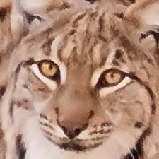 Profile image of Daniel-Geneve
