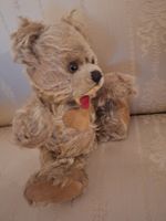 Zotti Teddy von 1950