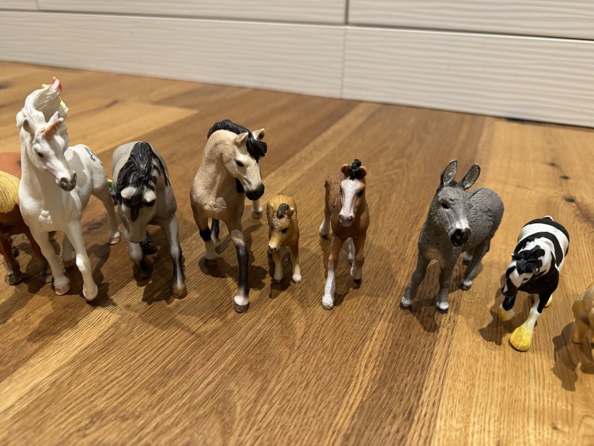 Schleich Statuette: Tierfiguren Bauernhoftiere Schleich – Usato da Oberkirch LU venduto da Kusi750 2