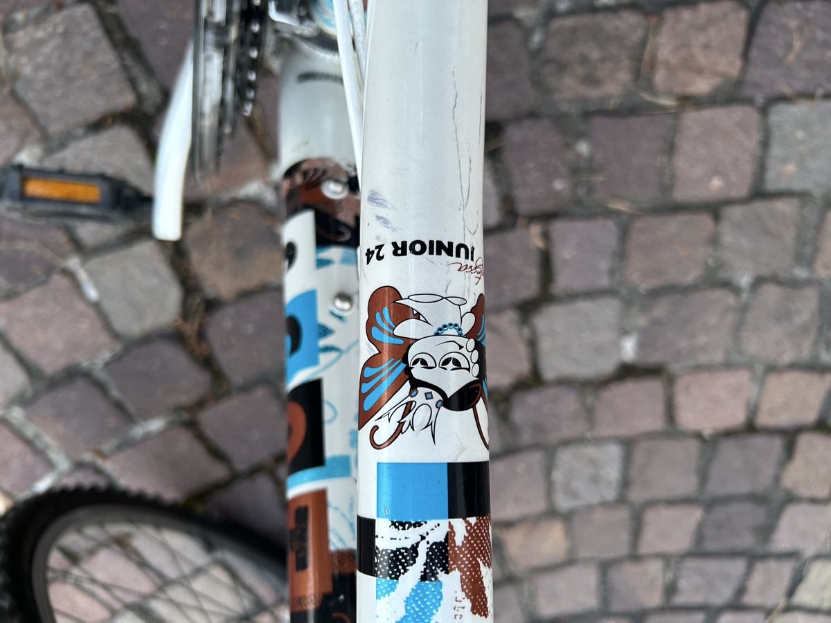 Scott Biciclette: Kindervelo SCOTT Junior 24 weiss/blau gebraucht – Usato da Büron venduto da anneetoli 2