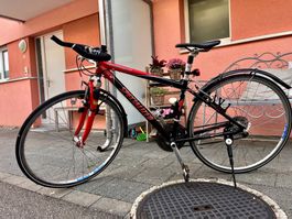 Specialized Crossroads Trekking-/Citybike – Rahmengrösse 43