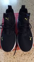 NEW Puma Softride Enzo NXT, bleues taille 44.5