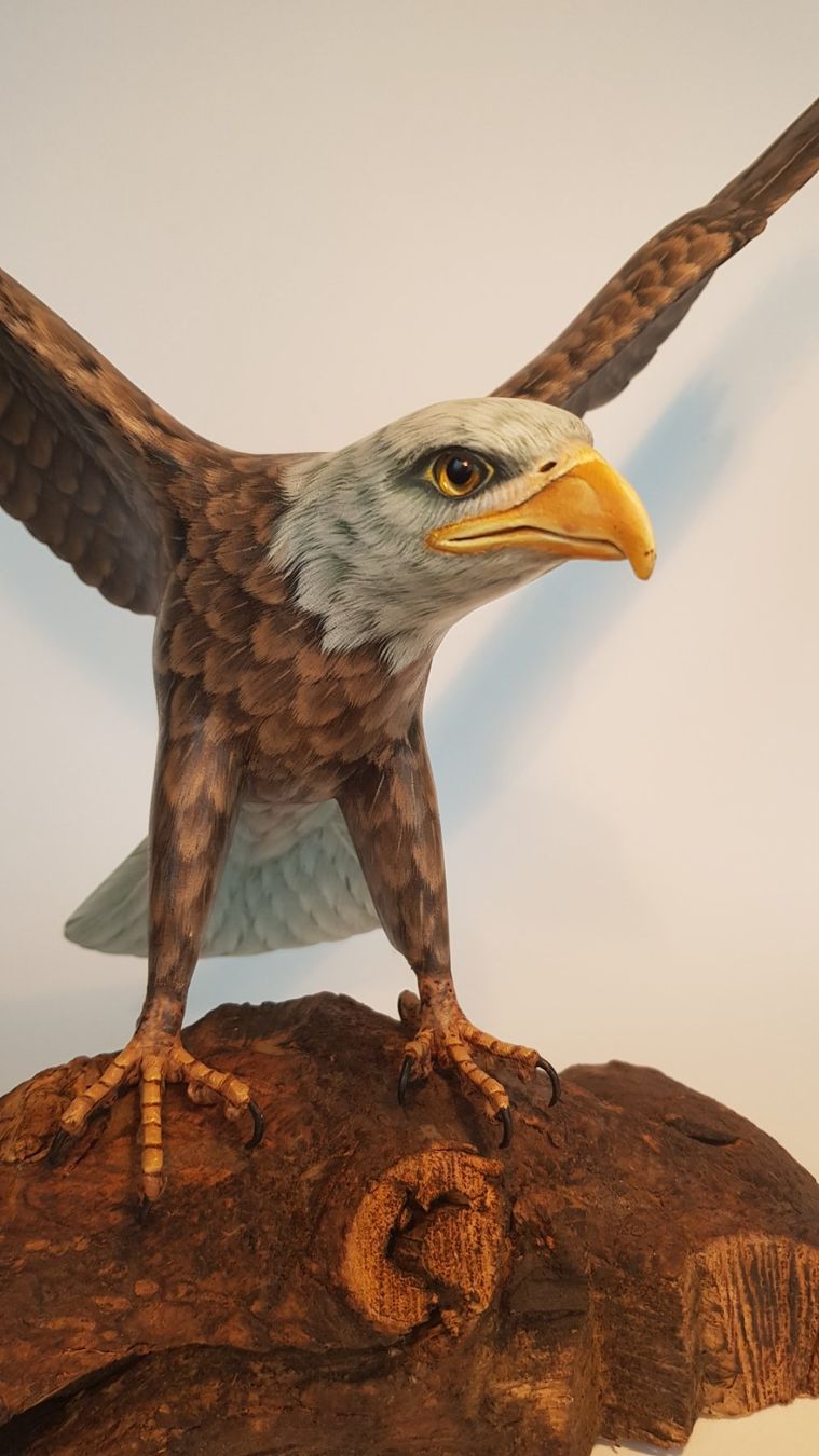 Statuette: Grosser Weisskopfadler – Usato da Horw venduto da Kunstreich7 1