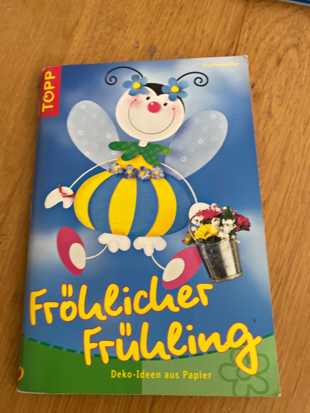 Bücher: Bastelbuch Fensterbilder – Gebraucht aus Bleienbach von Dbeno
