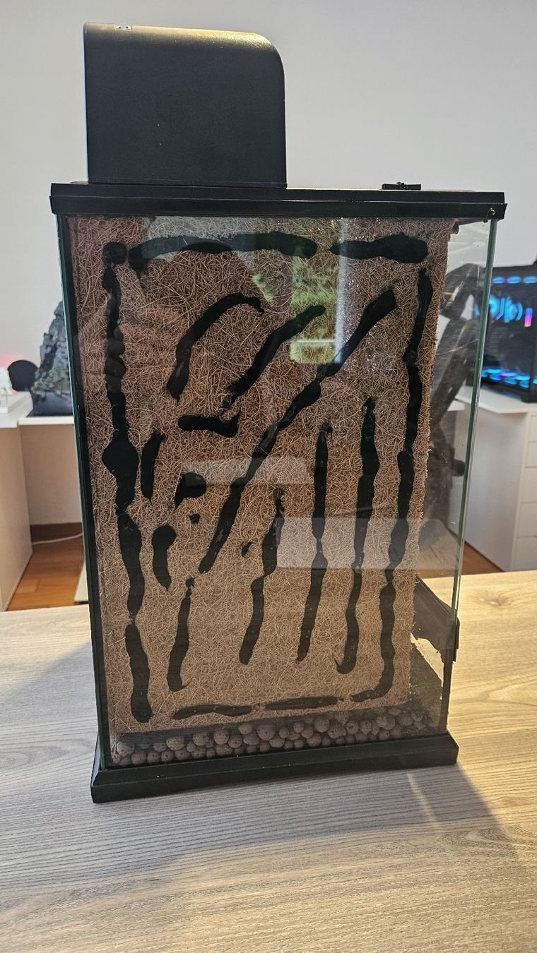 Terrario: Exo Terra Terrarium 30x30x47 mit Lampe – Usato da Zumikon venduto da Madsi41 3