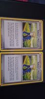 Pokemon Karten Volkners Philosophie 2x gut erhalten