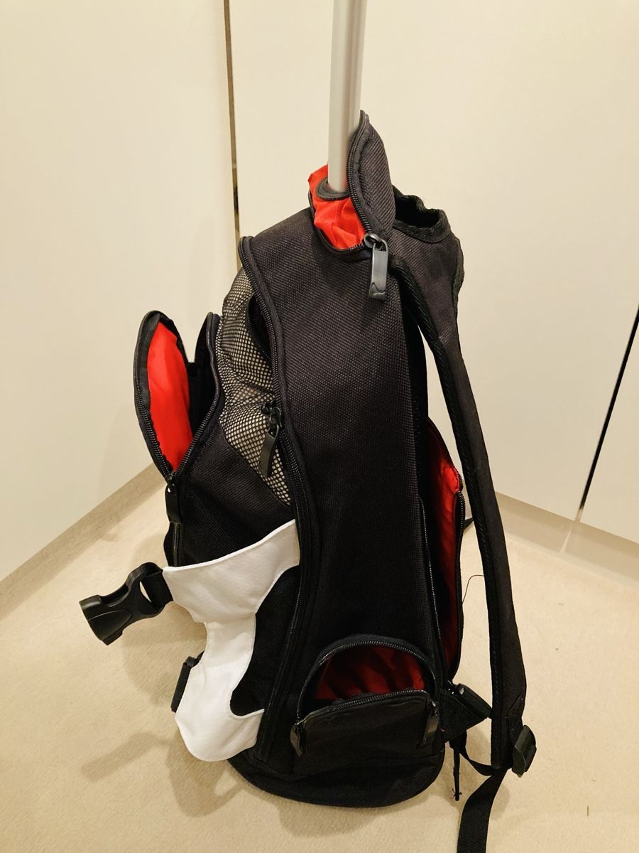 Valigie & Borse: Rollrucksack – Nuovo (secondo la descrizione) da Brüttisellen venduto da sinacat1 4