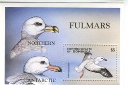 Block "Eissturmvogel". Dominica.