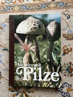 Pilze bestimmen: Wunderwelt der Pilze – Top Zustand! 🍄🔍
