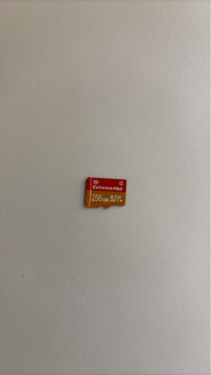 Cartes mémoire: Scheda microSD Extreme PRO 256GB A1 – D'occasion à Bürglen UR par Cardosoluis