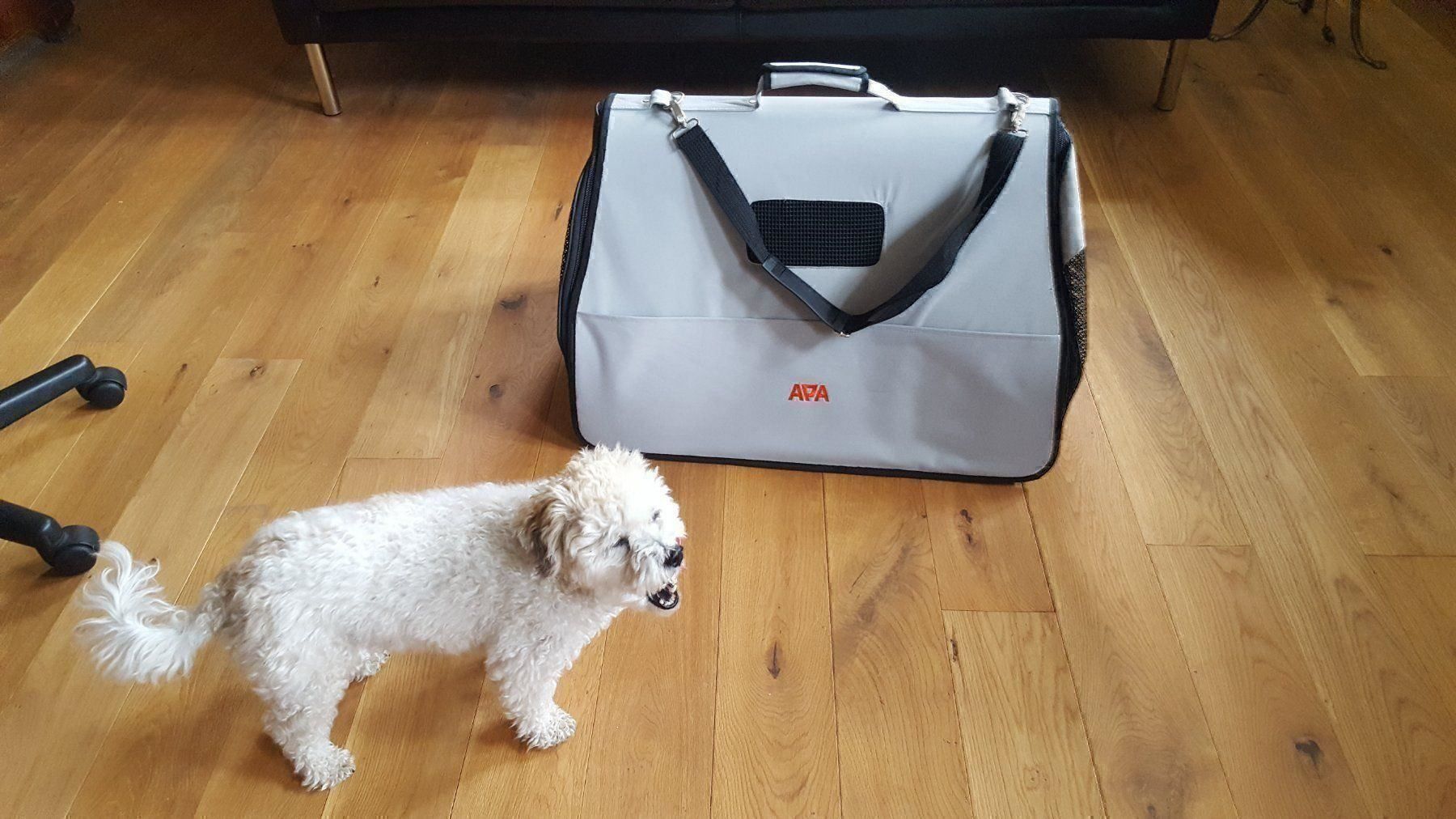 Borse: Hundetasche – Nuovo (secondo la descrizione) da St.Gallen venduto da EL03 2