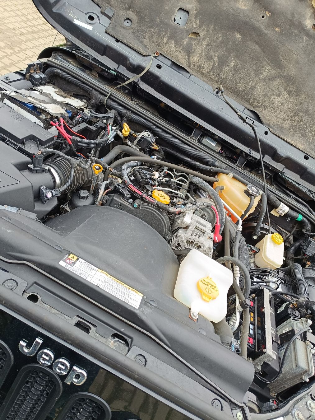 Jeep Automobili: jeep rubicon wrangler crd – Usato da wittenbach venduto da frisen 8