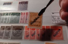 Umfangreiche Position DR DIENSTMARKEN gestempelt/**/*