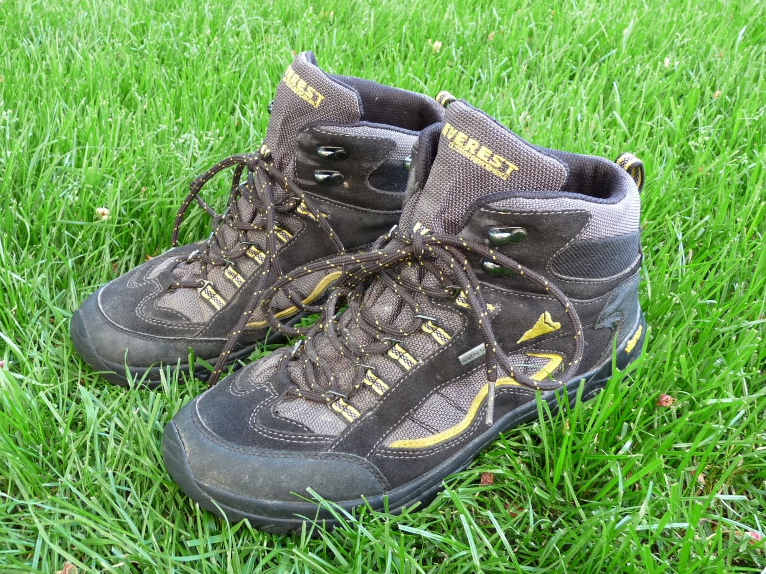 Everest Scarpe da uomo: Everest Wanderschuhe, Gr. 41, Top Zustand, – Usato da Lohn-Ammannsegg venduto da dom_zfv2 1