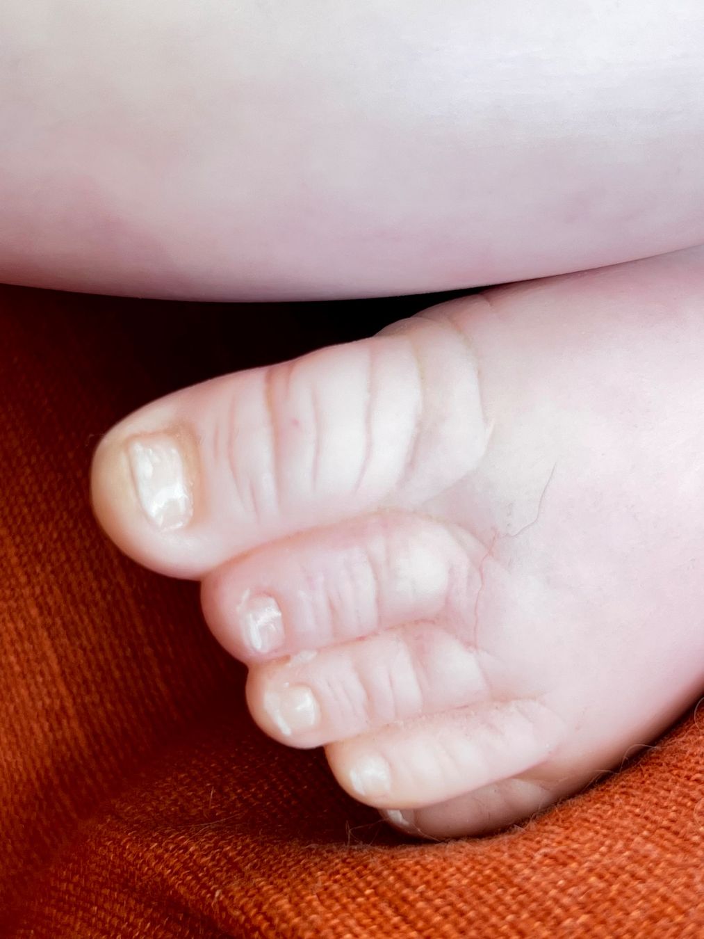 Reborn Bambole: Original Brooklyn Toddler Reborn – Usato da Schönenberg an der Thur venduto da Reneisa079 7