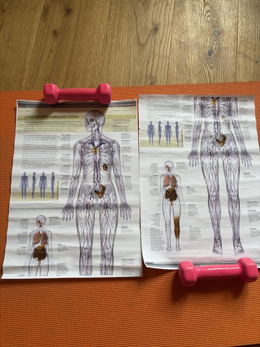 Foto & Immagini: Anatomie Poster Lymphsystem & Immunsystem, 2 Stk, Top! – Nuovo (secondo la descrizione) da Davos Wiesen venduto da Roseli21