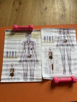 Anatomie Poster Lymphsystem & Immunsystem, 2 Stk, Top!