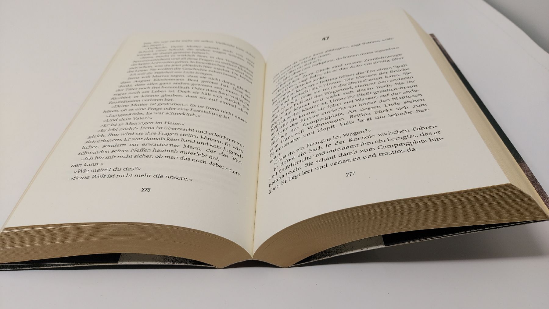 Bücher: DER BRUDER Christine Brand – Gebraucht aus Meisterschwanden von phaus38 4
