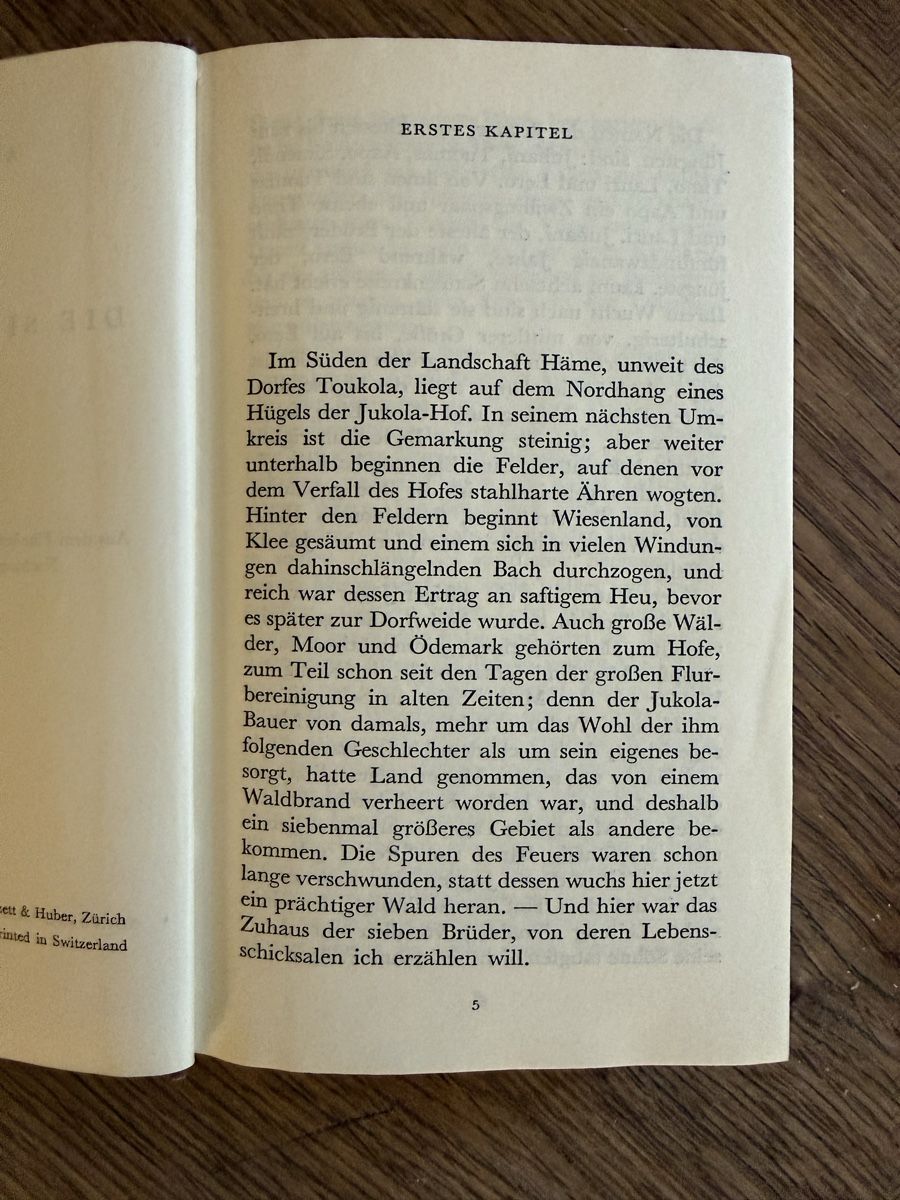 Bücher: Die Sieben Brüder  , Alexis Kivi- Manesse Verlag, – Gebraucht aus Weisslingen von Jannaki 5