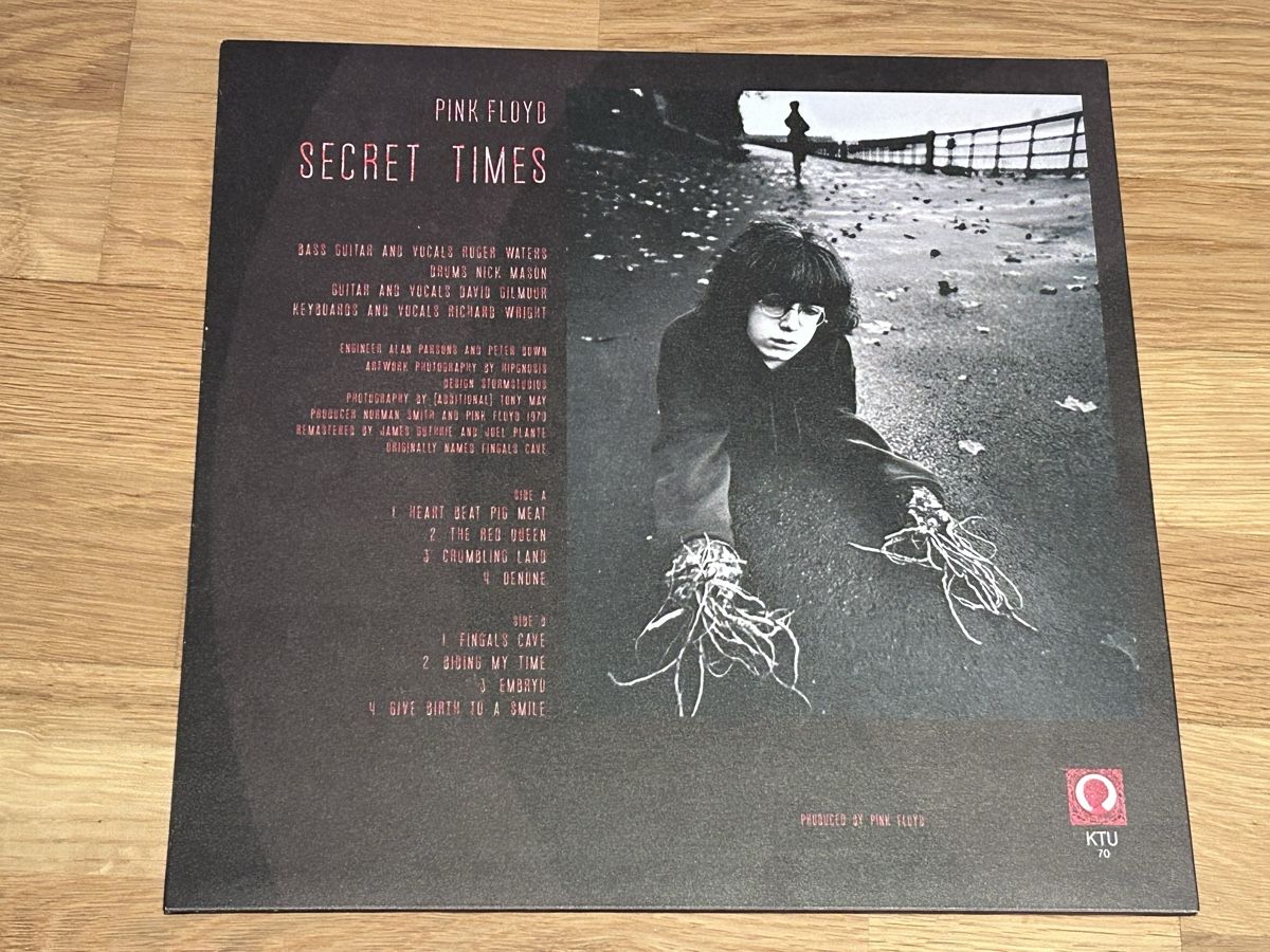 Dischi in vinile: Pink Floyd. 2019. Secret Times – Usato da Faulensee venduto da Mizuno06 1