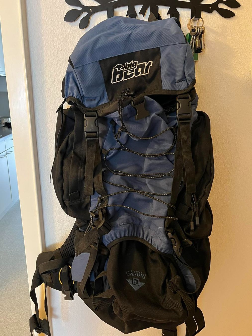 Zaini: Big Bear Gandis 70L - Wanderrucksack – Usato da Basel venduto da M.M_ 4