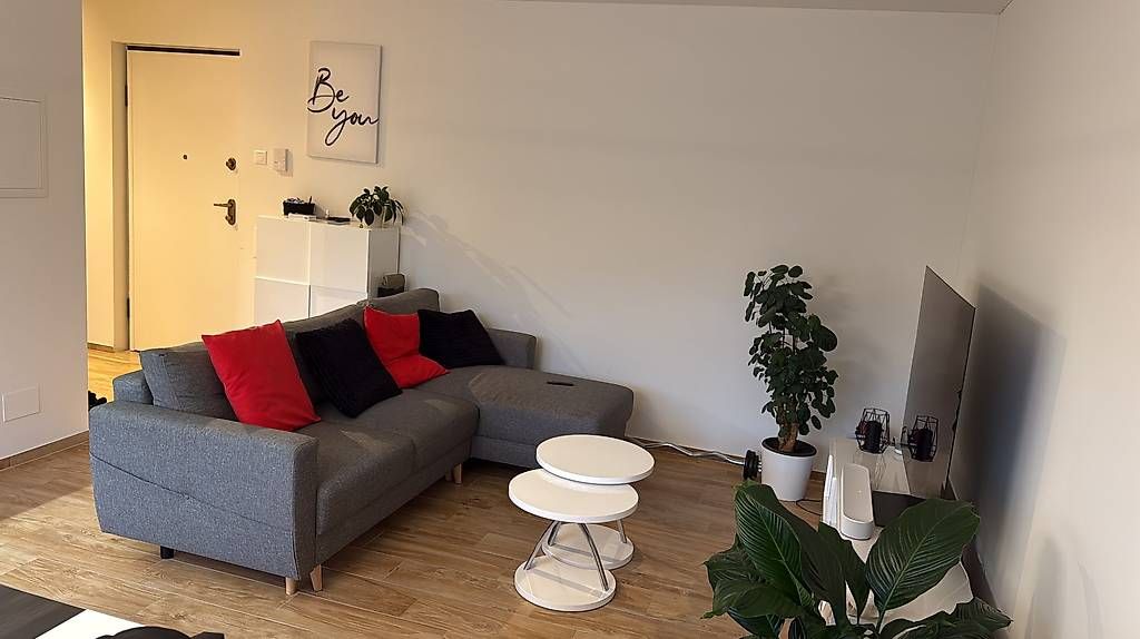 Divani:  Divano grigio a 3 posti con chaise-longue  – Usato da Vacallo venduto da tobias2526 2