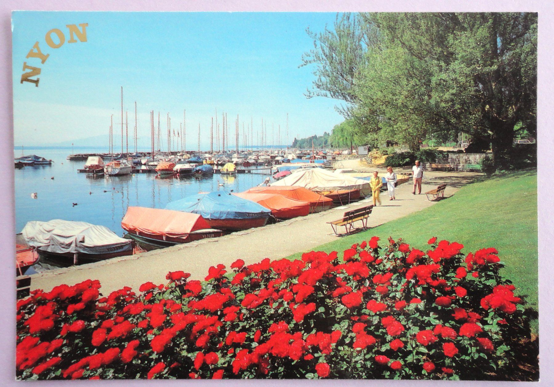 Cartoline postali: Nyon - La promenade des quais – Usato da Fétigny venduto da Billy2miny