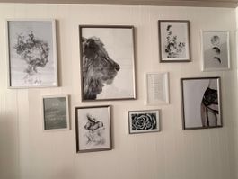 Bilderwand / Bilder-Set mit 8 gerahmten Bildern 