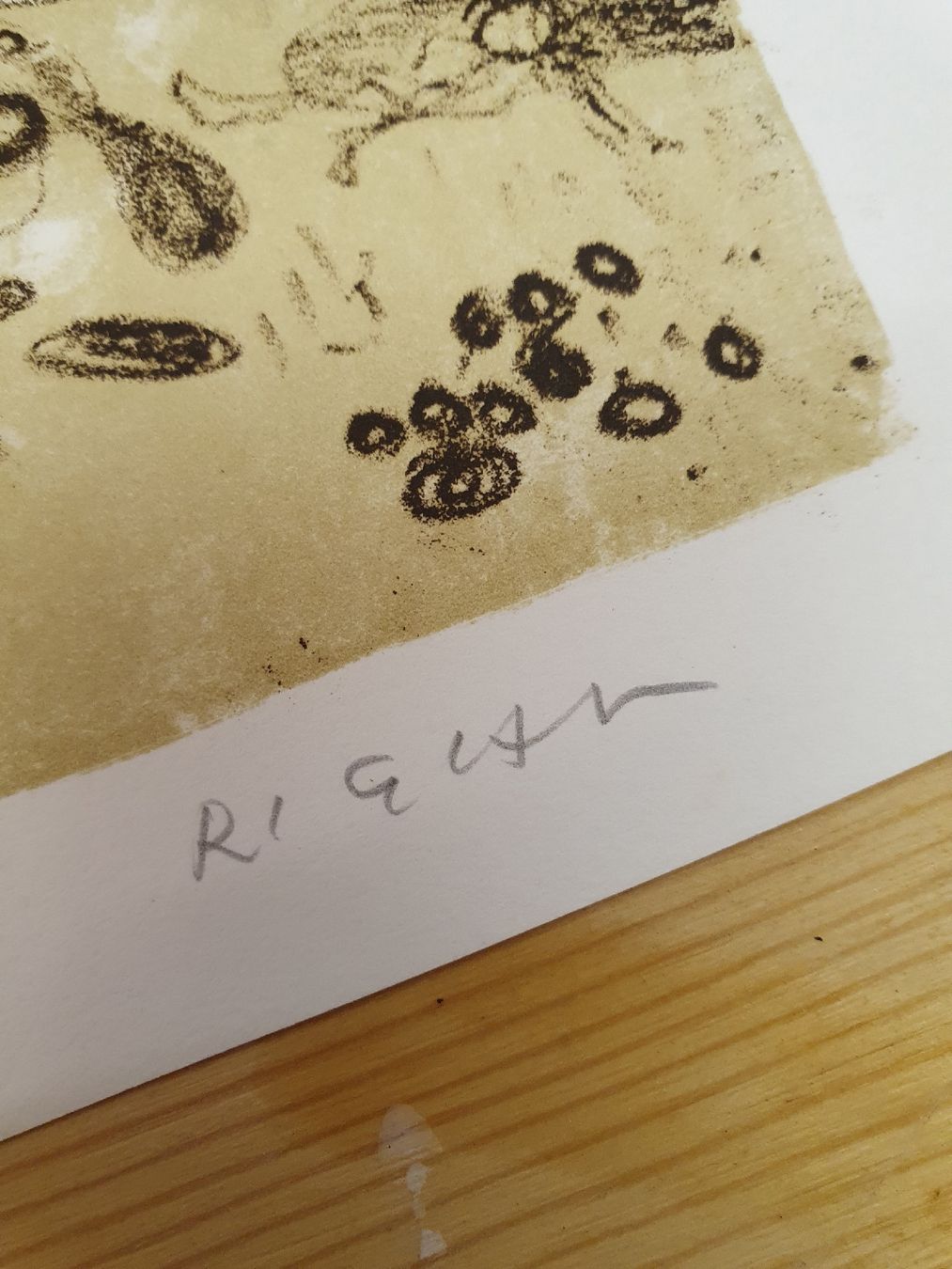 Grafica & Litografie: Federico Righi Farblithografie handsigniert 169/200 – Usato da Rüedisbach venduto da hanaku 1