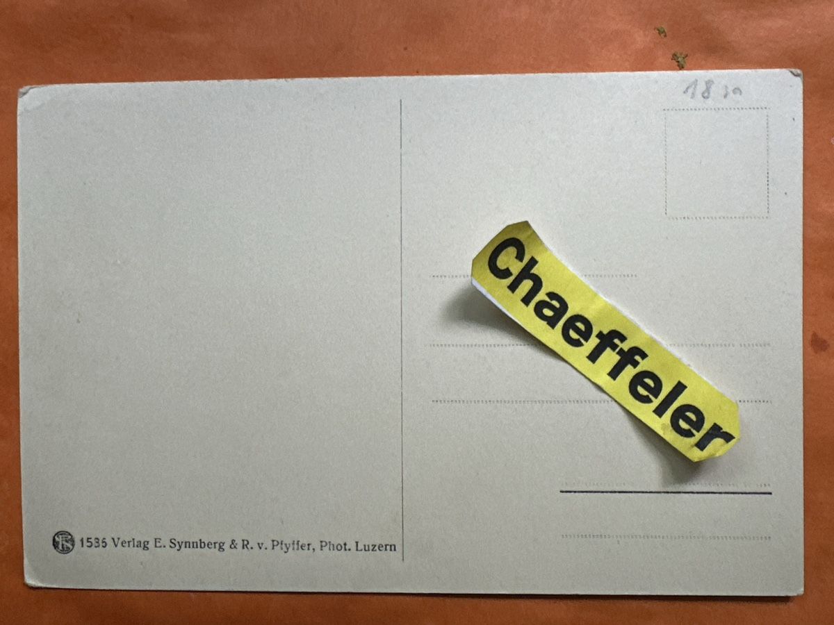 Cartoline postali: Alte Ansichtskarte Luzern und die Alpen – Usato da Zürich venduto da Chaeffeler 1
