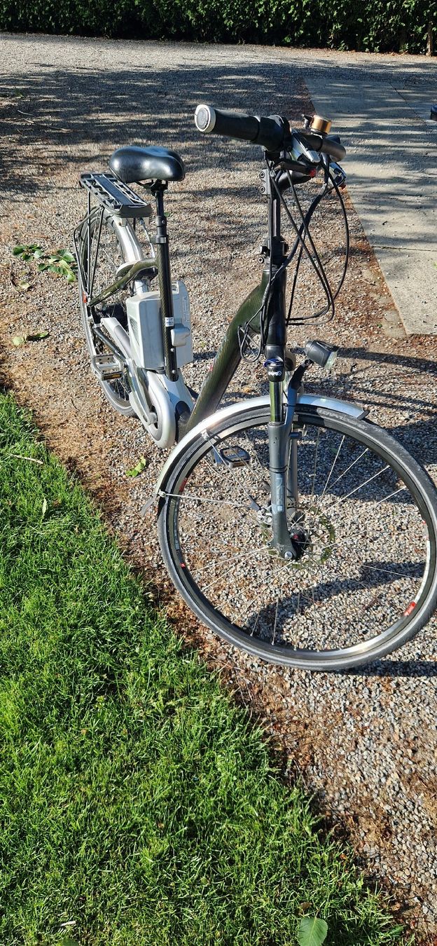 Flyer Biciclette: FLYER E-Bike  – Usato da Romanshorn venduto da fag_gnd6