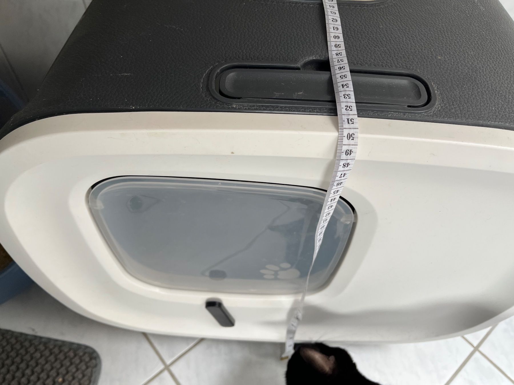 WC: Design Katzentoilette / Modernes Katzenklo – Usato da Engelberg venduto da quequotl 1