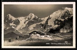 AK Mürren, Alphütte und Alpweide vor Oberberg