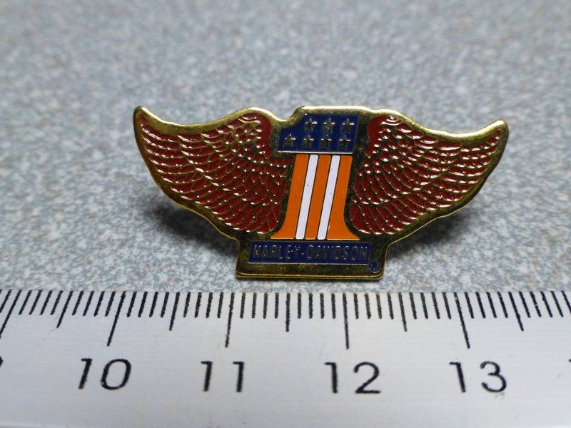 Placchette & Badge: PIN PINS HARLEY DAVIDSON HOG ABZEICHEN CHAPTER BADGE – Usato da Gränichen venduto da Jumbo77