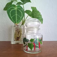 Pot épice vintage pepper poivre pfeffer verre