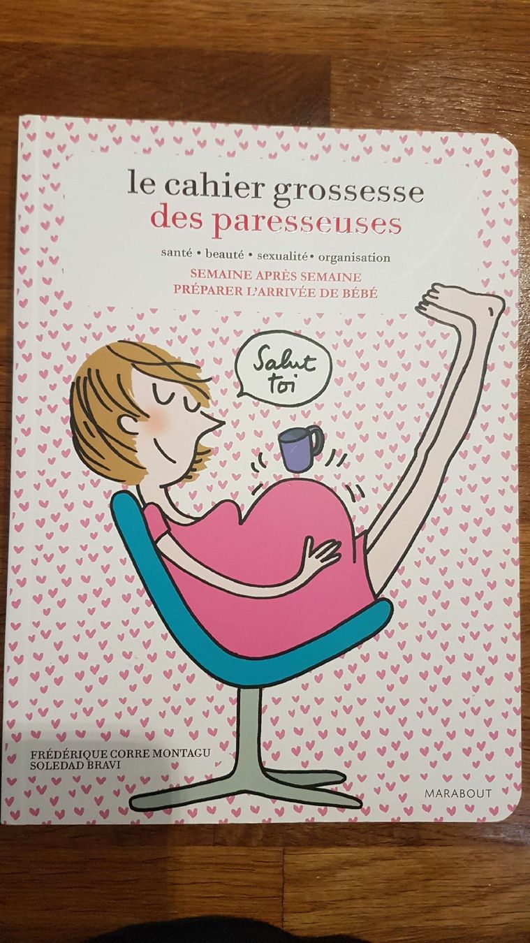 Bücher: Cahier grossesse des paresseuses – Neu (gemäss Beschreibung) aus fribourg von pegalex 1
