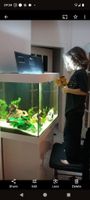 Aquarium Juwel 200 L