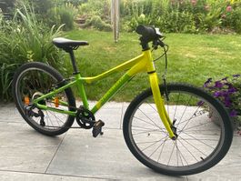 Kinderfahrrad Crosswave Primerider 24“