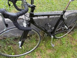 Rennrad Giant TCR Alu „Official Co-Sponsor T-Mobile Team“