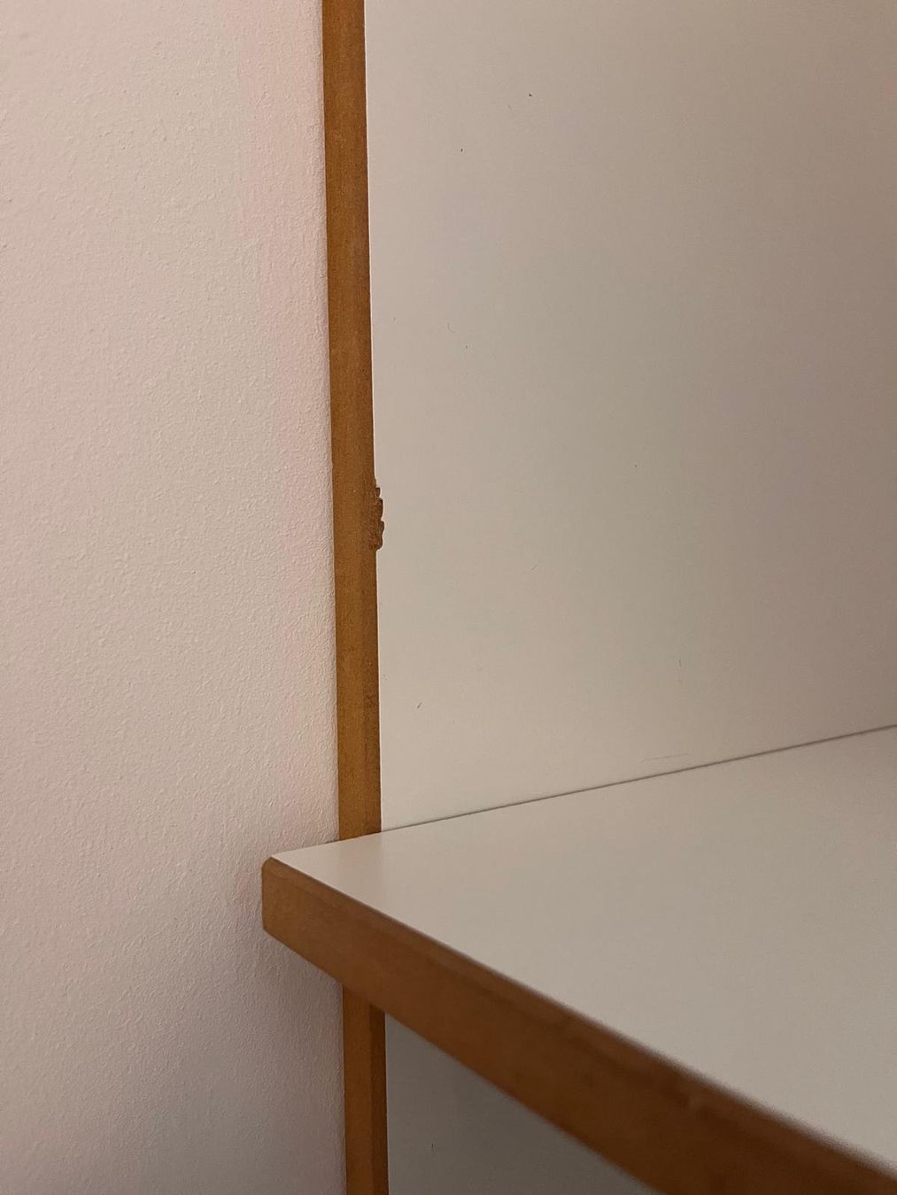 Moormann Scaffali: Moormann FNP Designklassiker – Usato da Zürich venduto da RetoAnita 4